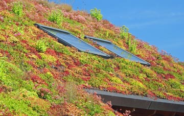 Sutton Maddock living roof systems