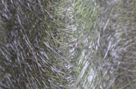 Sutton Maddock fibreglass roof work